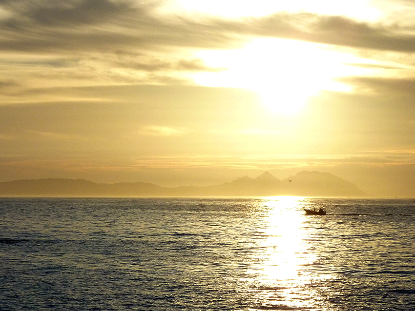 Barcos y barcas