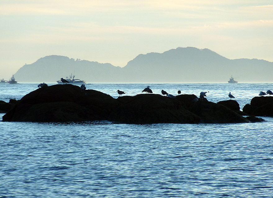 Barcos e barcas